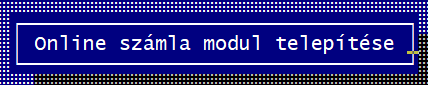 NAV Online Számla reg